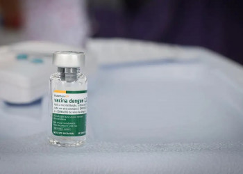 Vacina brasileira contra a dengue mantém eficácia por até 5 anos