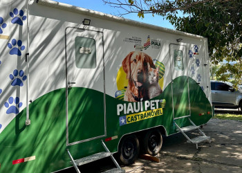 Com mais de 500 castrações realizadas em 2026 no Piauí, Castramóvel leva atendimentos a Campo Maior nesta sexta-feira (13)