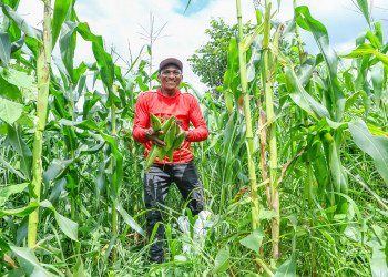 Mais de 68 mil famílias no Piauí vão receber R$ 80 milhões pelo programa Garantia Safra, do Governo Federal