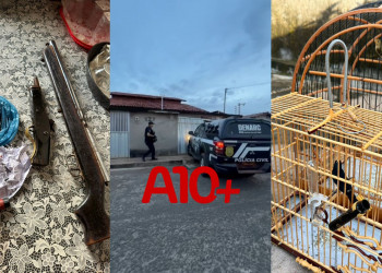 Polícia Civil deflagra operação, cumpre mandados e prende faccionados envolvidos com vários crimes no Piauí