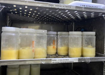 Com baixo estoque, Nova Maternidade Evangelina Rosa intensifica campanha de doação de leite humano