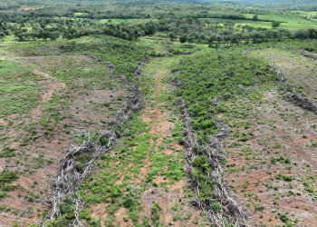 Semarh identifica mais de 1.500 hectares de desmatamento ilegal em operação no Piauí e estima multas de R$ 2 milhões