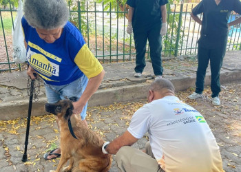 Campanha de vacinação contra a raiva em Teresina será nos meses de abril e maio