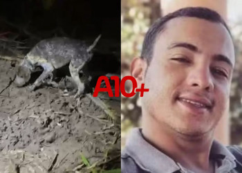 VÍDEO: exato momento em que cão encontra corpo de Francisco Alan enterrado em cova rasa no Piauí