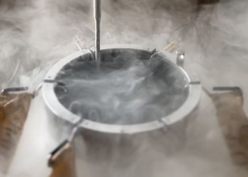 Programa Piauí Mais Genética recebe 15 mil doses de sêmen para melhorar qualidade do rebanho