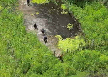 VÍDEO: suspeito tenta fugir da polícia por lagoa, é perseguido e acaba preso no litoral do Piauí