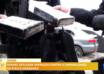 Durante operação, Polícia apreende drogas avaliadas em pelo menos R$ 500 mil dentro de mochila em Teresina