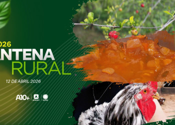 Antena Rural 12.04: galinha sertaneja balão, pesquisa acerola, receita de buchada e muito mais