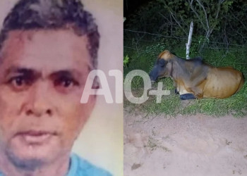 Homem morre após bater motocicleta contra vaca no interior do Piauí