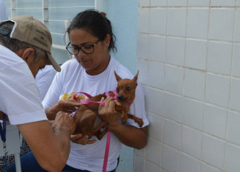FMS divulga locais da zona rural Sul e Sudeste de Teresina que receberão vacinação da raiva; confira