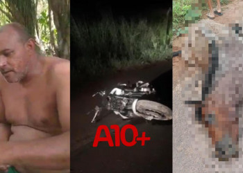 Garçom morre após bater motocicleta contra cavalo no Piauí