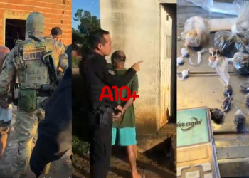Polícia deflagra operação, cumpre mandados e prende 4 suspeitos de tráfico de drogas no interior do Piauí