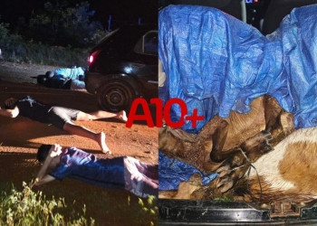 GCM captura suspeitos de invadir casas e furtar animais no interior do Piauí