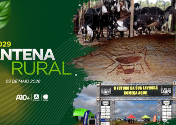 Antena Rural 03.05: Serra da Capivara, criação de cabras, receita de canjica e muito mais; assista!