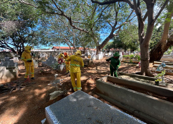 SDU Sudeste intensifica limpeza em cemitérios para o Dia das Mães