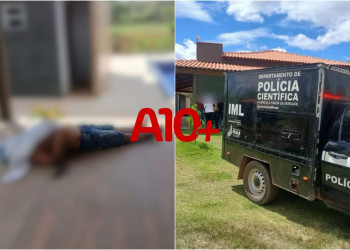 Idoso morre após ser atacado por abelhas no interior do Piauí