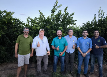 Equipe da Adapi visita polos de produção de fruticultura irrigada e algodão no sul do Piauí