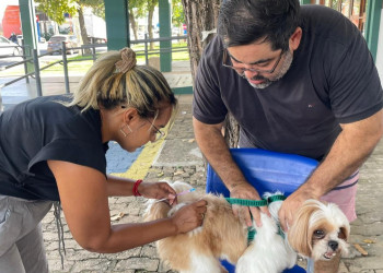 Campanha de vacinação antirrábica de 2026 encerra com mais de 125 mil animais imunizados em Teresina, diz FMS