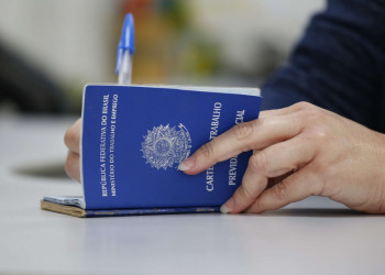 Taxa de desocupação registra aumento no primeiro trimestre de 2026 no Piauí, diz IBGE