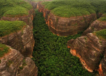 Com queda histórica de 78%, Piauí registra maior redução proporcional do desmatamento da Mata Atlântica no Brasil