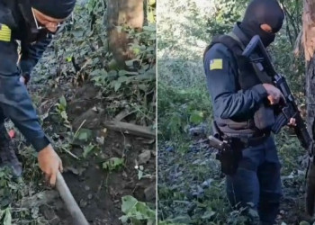 Polícia Militar apreende tabletes de maconha enterrados em área de mata na zona Sul de Teresina