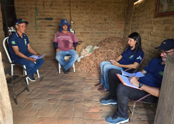 Piauí alcança 100% da meta inicial de vigilância clínica para peste suína clássica