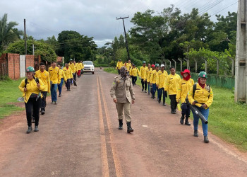 Oito em cada dez municípios do Piauí já contam com brigadas contra incêndios florestais