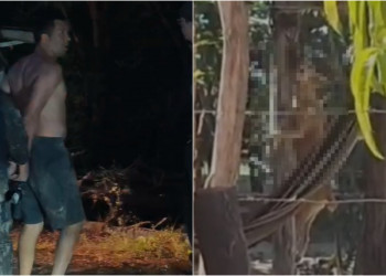 Polícia prende suspeito de matar cachorro enforcado e despejar corpo em região de vegetação no Piauí