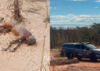 Corpo em avançado estado de decomposição é encontrado na zona Sul de Teresina; polícia investiga