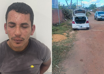 Homem rouba carro, se esconde em terreno, mas é preso pela polícia após ser atacado por abelhas em Teresina