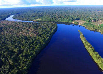 Amazônia pode ter abrigado civilização de até 3 milhões de pessoas, aponta estudo