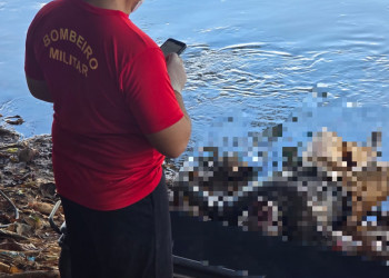 Corpo é encontrado no Rio Parnaíba em Teresina; pode ser de idoso desaparecido