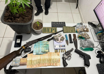 Polícias Civil e Militar realizam prisões em operação no Piauí; agentes encontram muda de maconha cultivada na casa de um dos alvos