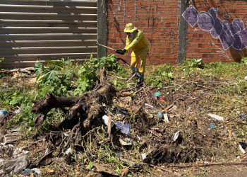 Parque Ideal recebe equipes da Zoonose e SDU no combate ao mosquito da dengue neste sábado (22)