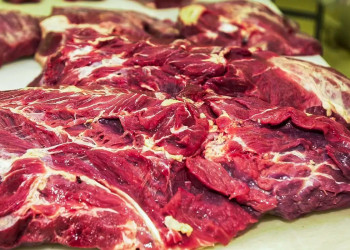 ‘Não é uma questão sanitária’, diz professor sobre suspensão da UE à carne brasileira