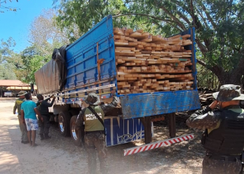 Operação Espera apreende mais de 216 m³ de madeira, aves silvestres e armas no Piauí