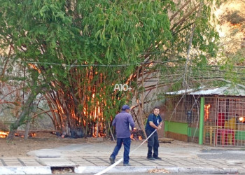 Incêndio de grandes proporções atinge área de mata na Av. Raul Lopes, em Teresina; VÍDEO!
