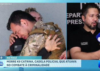 Delegados destacam importância da K9 Catrina, primeira cadela policial do Piauí, no combate à criminalidade; animal será cremado