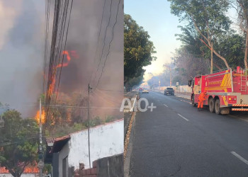 Incêndio de grandes proporções atinge área da Embrapa e Jardim Botânico em Teresina