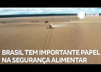 Brasil tem papel importante na segurança alimentar global