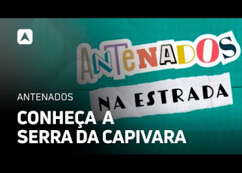 Antenados na Estrada: conheça a Serra da Capivara, o principal sítio arqueológico das américas