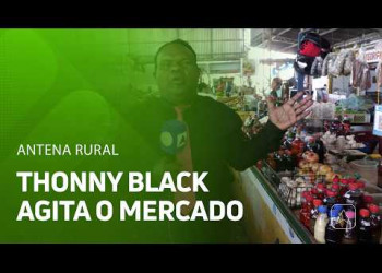 Thonny Black anima visitantes e permissionários no Mercado do Dirceu