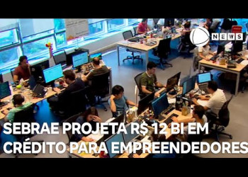 Sebrae projeta R$ 12 bilhões em crédito para empreendedores