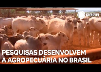 Pesquisas auxiliam no desenvolvimento da agropecuária no Brasil