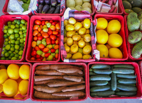 Inscrições para o Programa de Aquisição de Alimentos encerram nesta segunda-feira (1º)