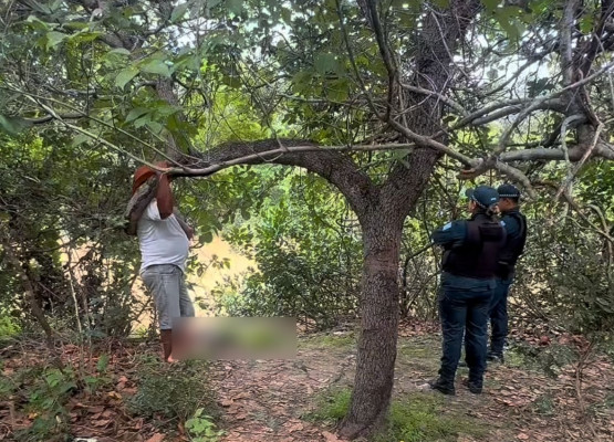 Homem morre vítima de afogamento enquanto tomava banho com amigo em rio no interior do Piauí