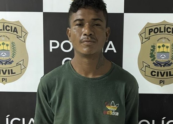 Condenado a mais de cinco anos de prisão por furto é capturado pela Polícia Civil no Centro de Teresina