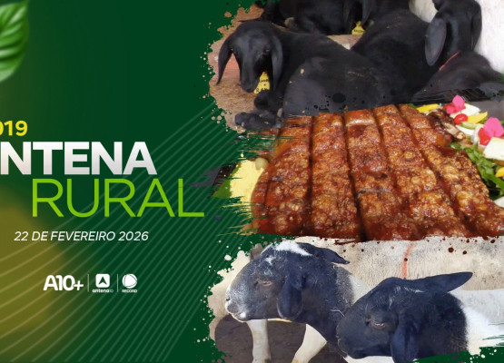 Antena Rural: criação de ovinos da raça Dorper, receita de leitão no forno de barro e muito mais; assista agora!