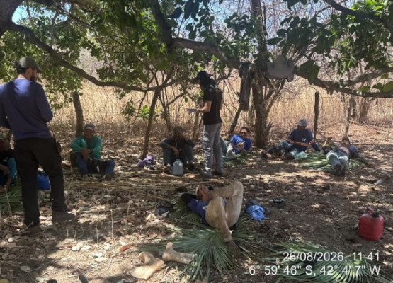 Operação resgata 40 trabalhadores em situação análoga à escravidão em três municípios do Piauí