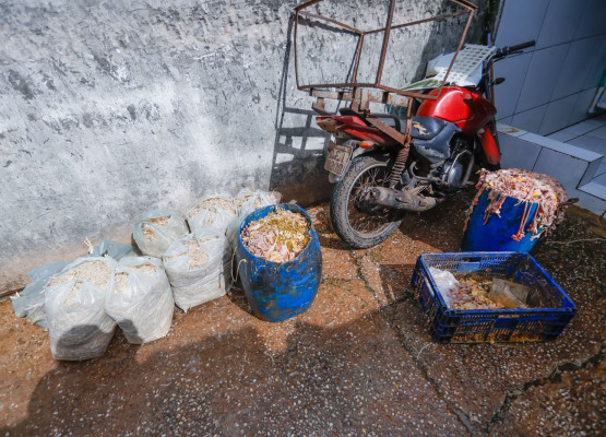 Polícia Civil deflagra operação e fecha abatedouro clandestino de aves em Teresina; dejetos eram lançados em grotão